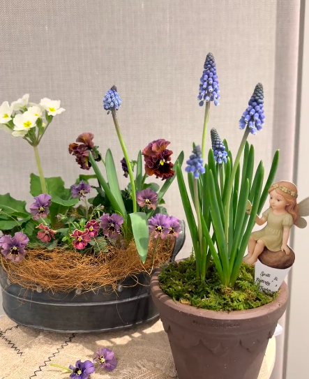 Winter can also be colorful