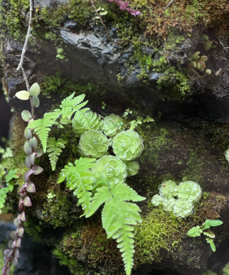 What Plant Is This? A Simple Question That Technology Can Finally Answer