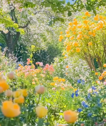Spring flower viewing