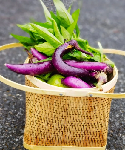 What vegetable is this - 2