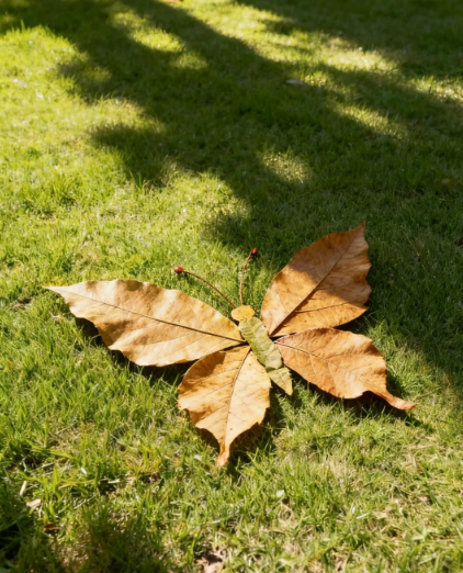 Fallen leaves picked up on the roadside 🍂 This way of putting together can get a zoo